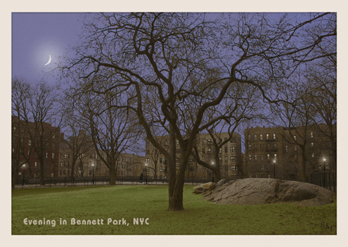 Cityscapes: Evening in Bennett Park